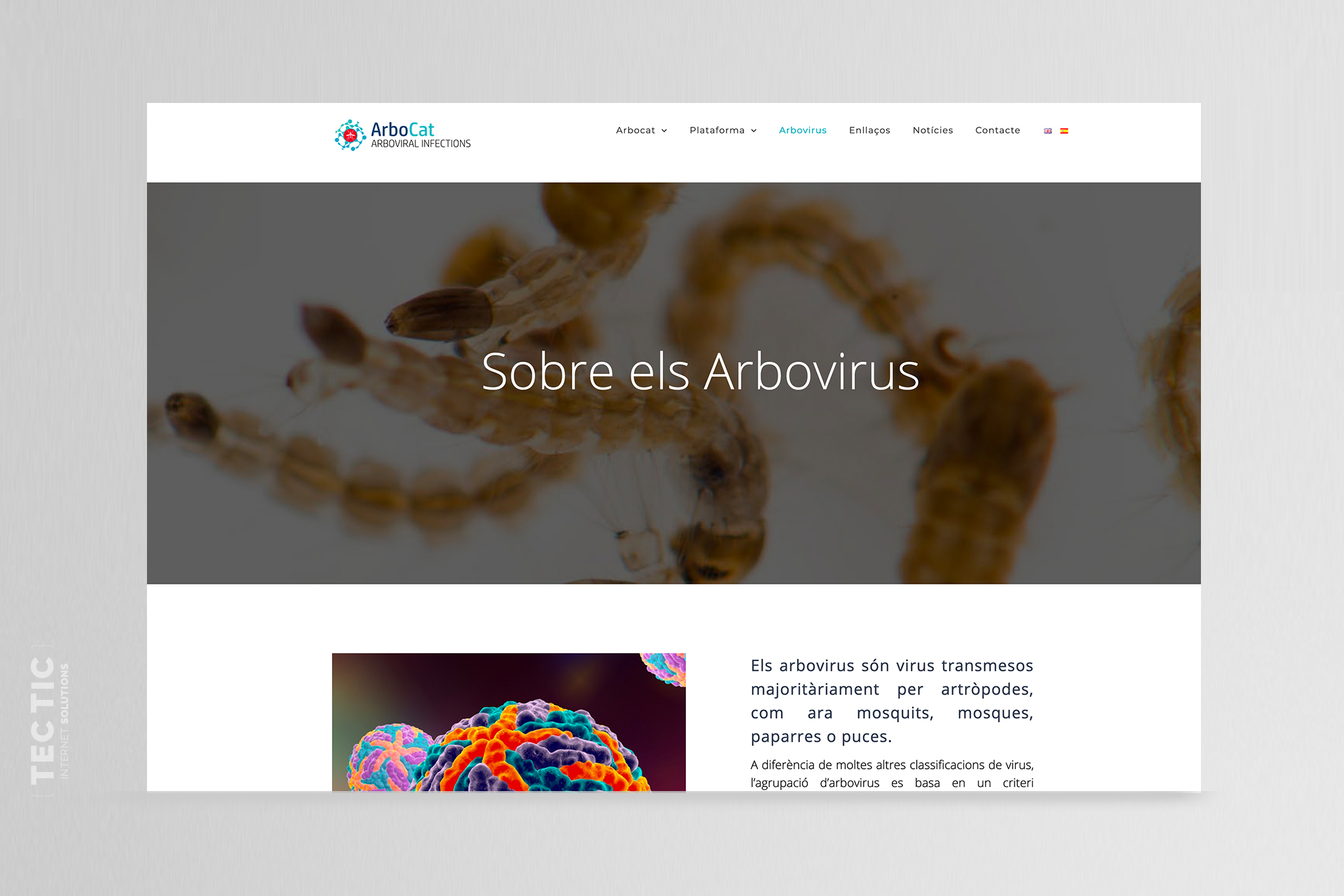 ARBOCAT_02